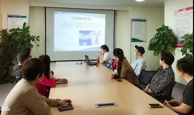 AI自动养站：新时代的信息之桥
